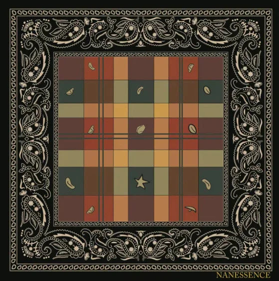 Plaid and paisley Afrocentric scarf with earth-tone colors and intricate border design
