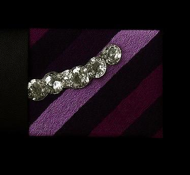 Eleganté Sparkle Clips